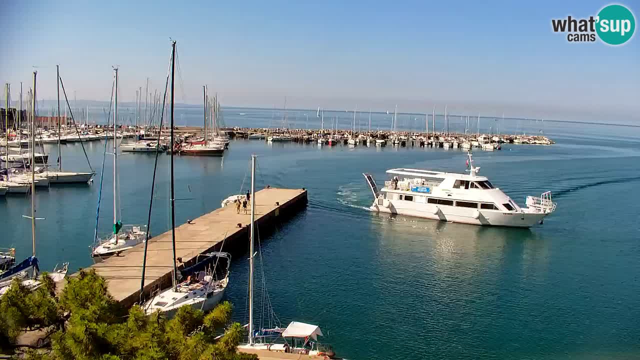 Webcam Sistiana Baia – Live View of the Marina and Gulf