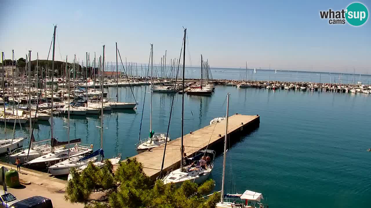 Web kamera Sistiana Uvala – Pogled uživo na marinu i zaljev