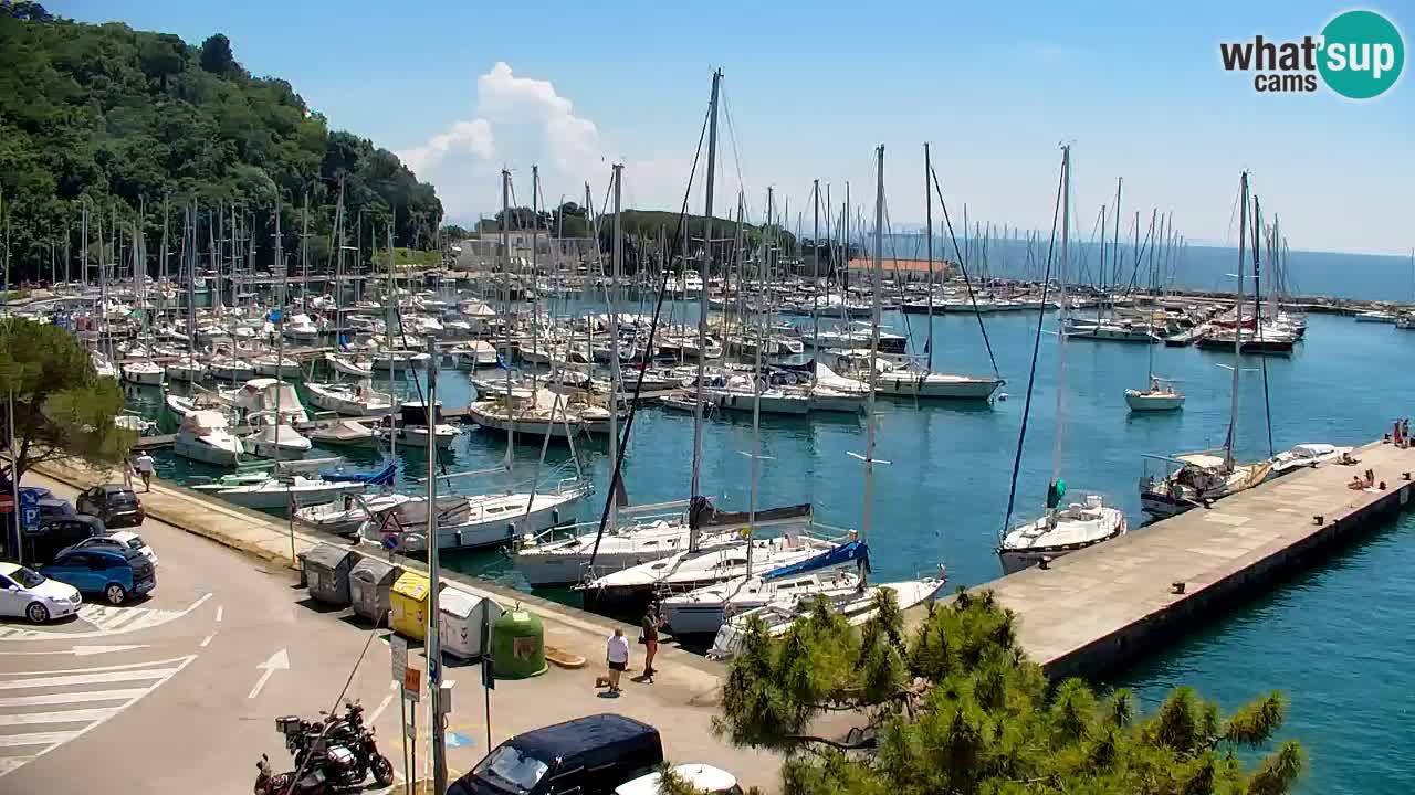 Webcam Sistiana Baia – Live View of the Marina and Gulf