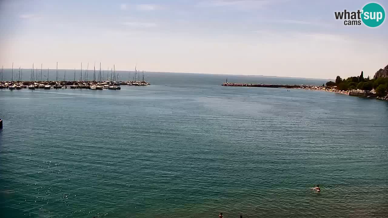 Webcam Sistiana Baia – Live View of the Marina and Gulf