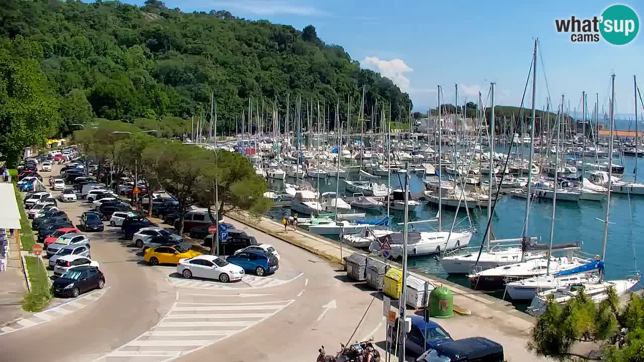 Webcam Sistiana Baia – Live View of the Marina and Gulf