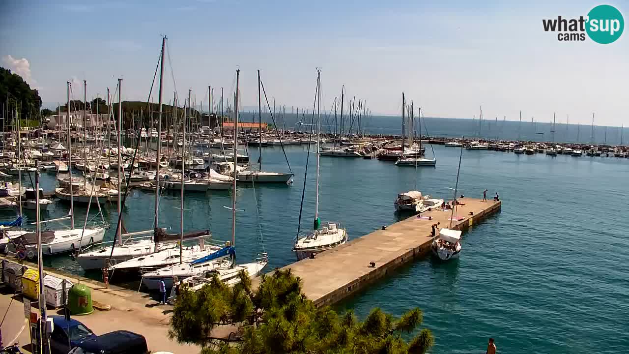 Webcam Bahía de Sistiana – Vista en directo del puerto deportivo y la costa
