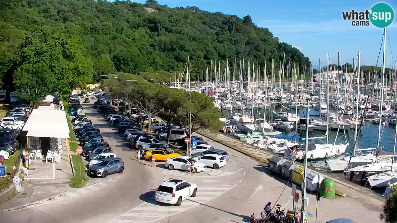 Webcam Sistiana Baia – Live View of the Marina and Gulf