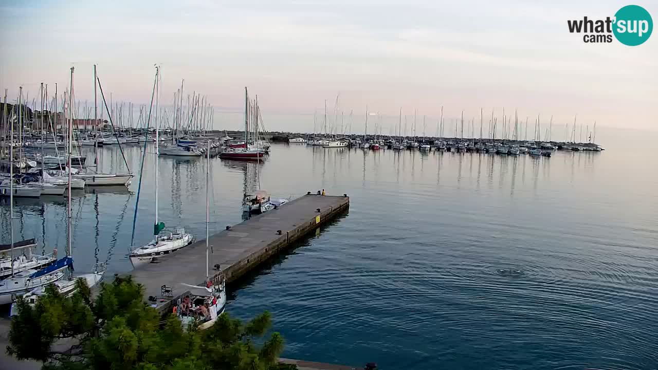 Webcam Bahía de Sistiana – Vista en directo del puerto deportivo y la costa