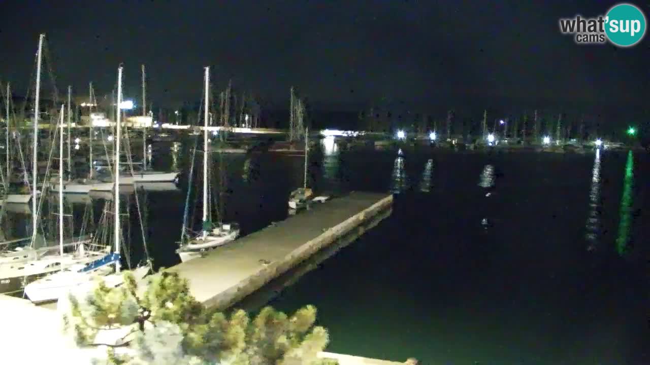 Webcam Bahía de Sistiana – Vista en directo del puerto deportivo y la costa