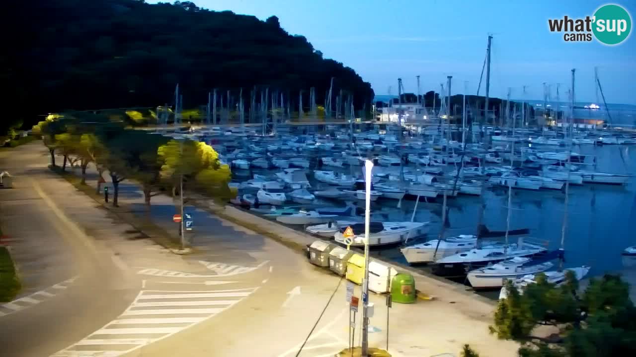 Webcam Baie de Sistiana – Vue en direct de la marina et de la baie