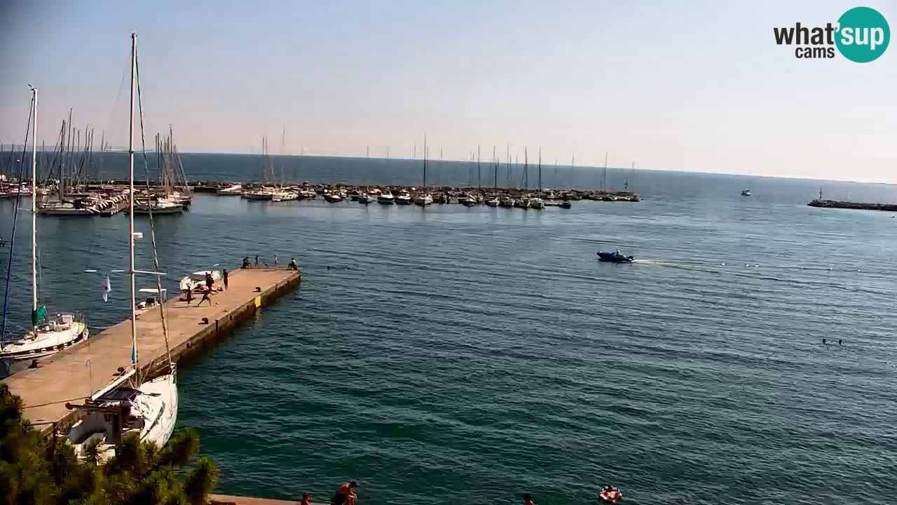 Webcam Sistiana Baia – Live View of the Marina and Gulf