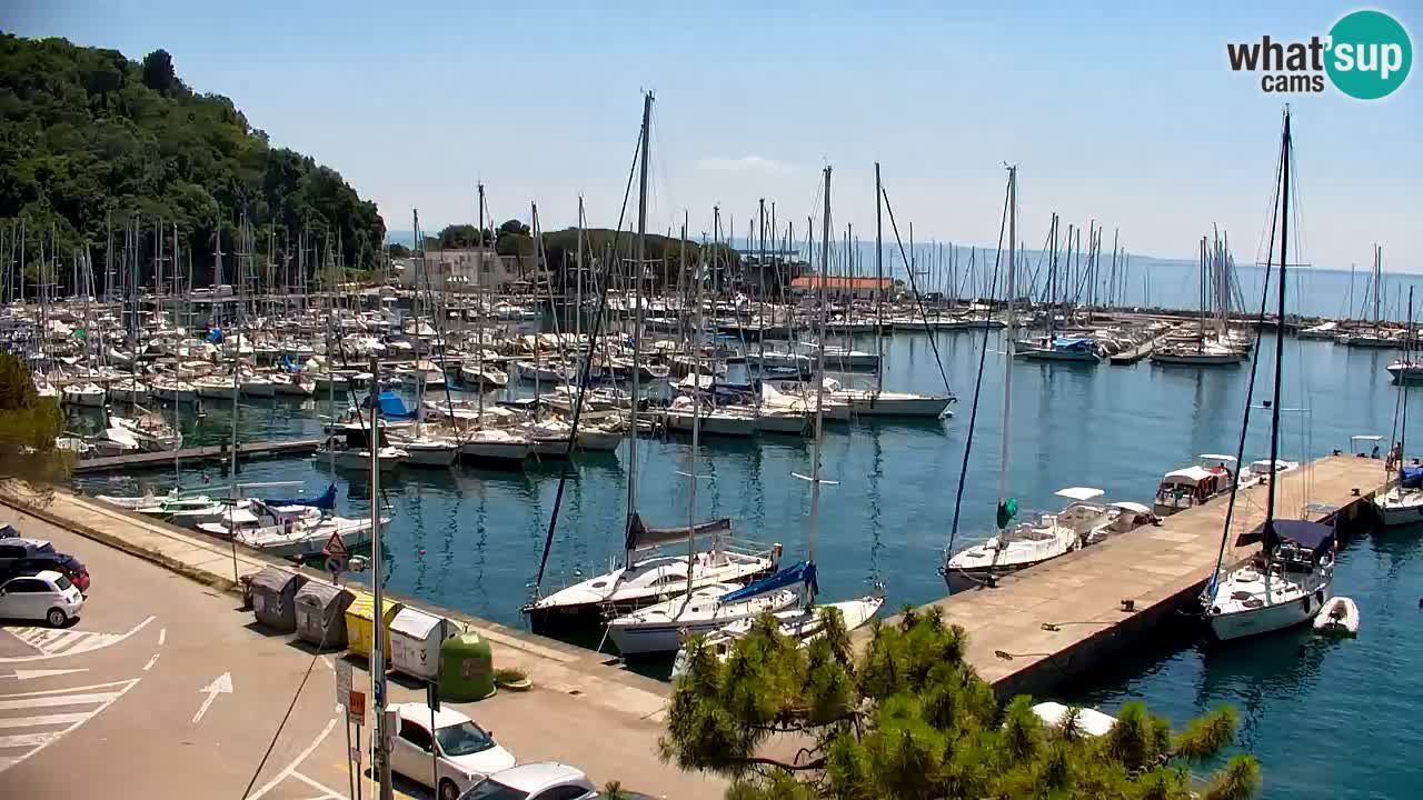 Webcam Sistiana Baia – Live View of the Marina and Gulf