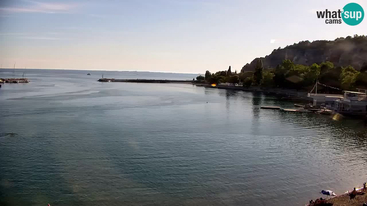 Webcam Bahía de Sistiana – Vista en directo del puerto deportivo y la costa