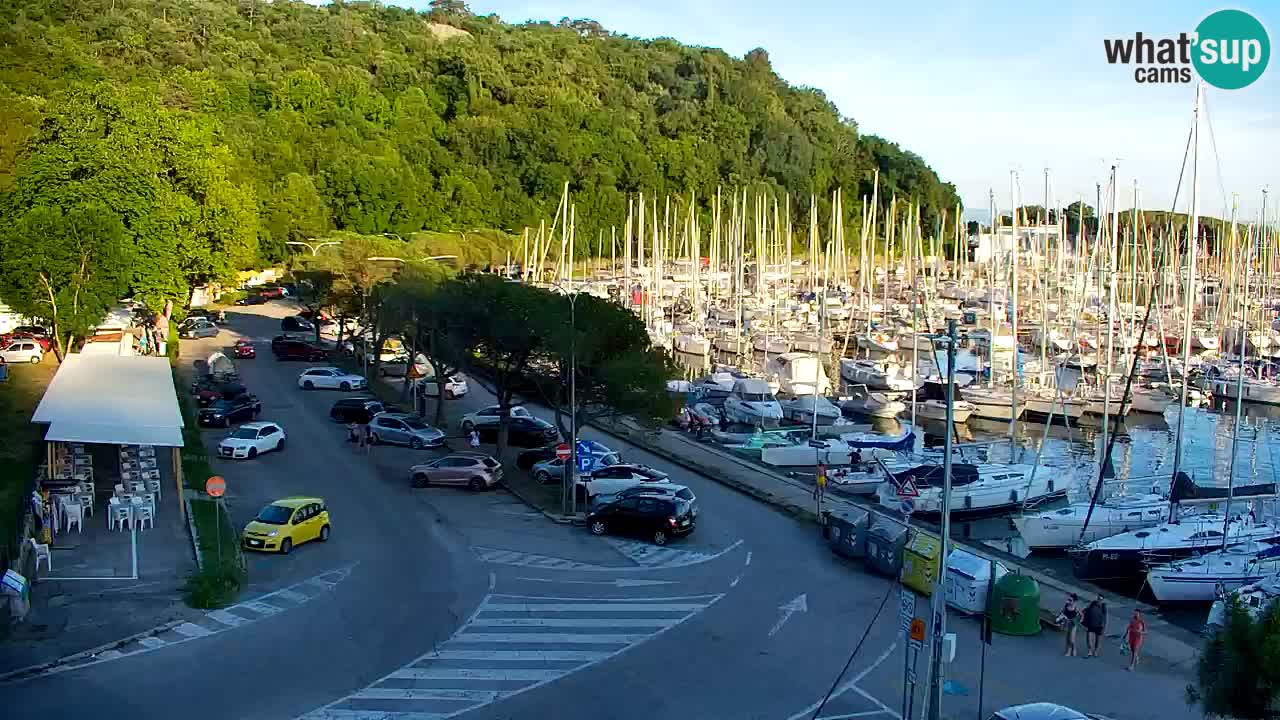 Spletna kamera Sesljanski zaliv – Pogled v živo na marino in zaliv