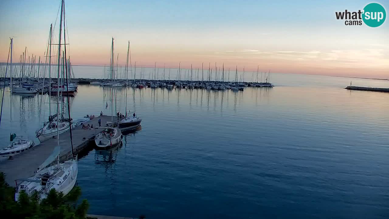 Webcam Sistiana Baia – Live View of the Marina and Gulf