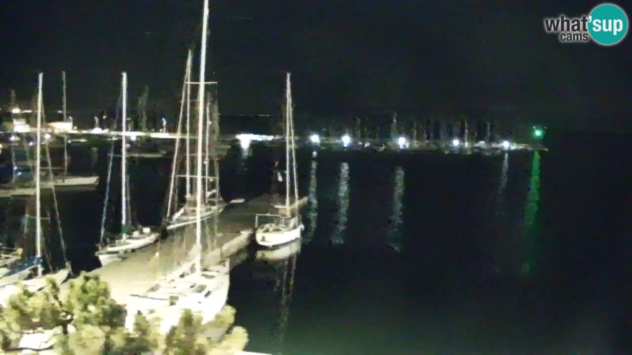 Webcam Sistiana Baia – Live View of the Marina and Gulf