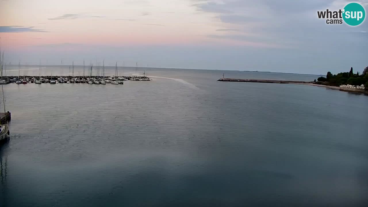 Webcam Sistiana Baia – Live View of the Marina and Gulf