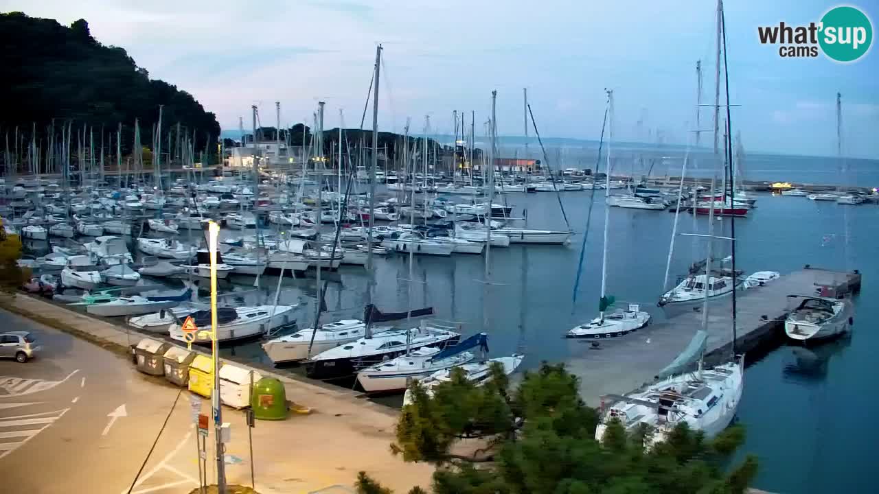 Webcam Sistiana Baia – Live View of the Marina and Gulf