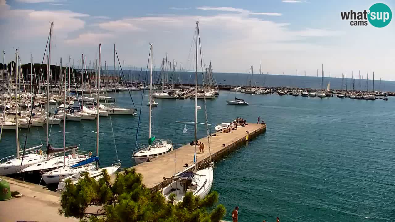 Web kamera Sistiana Uvala – Pogled uživo na marinu i zaljev