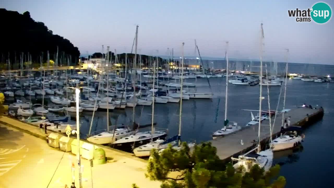 Webcam Sistiana Bucht – Liveblick auf Marina und Bucht