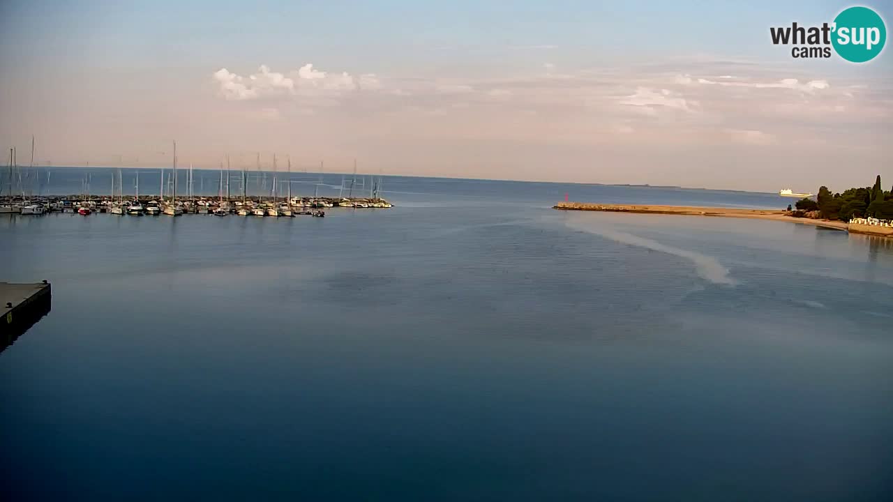 Webcam Sistiana Baia – Live View of the Marina and Gulf