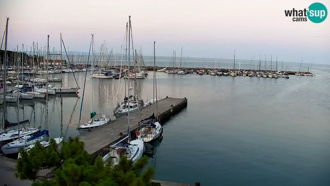 Webcam Sistiana Baia – Live View of the Marina and Gulf