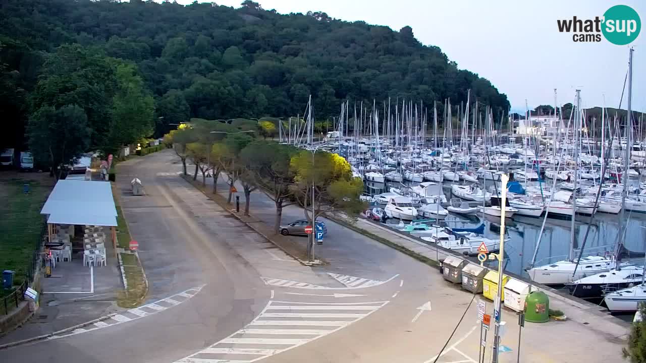 Webcam Sistiana Baia – Live View of the Marina and Gulf
