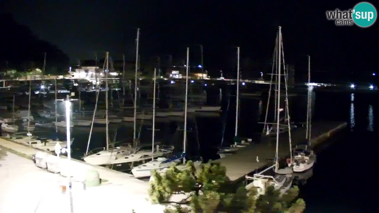 Webcam Sistiana Baia – Live View of the Marina and Gulf