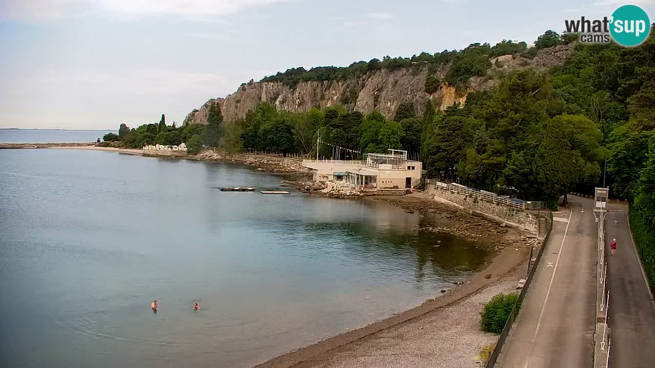 Webcam Sistiana Baia – Live View of the Marina and Gulf