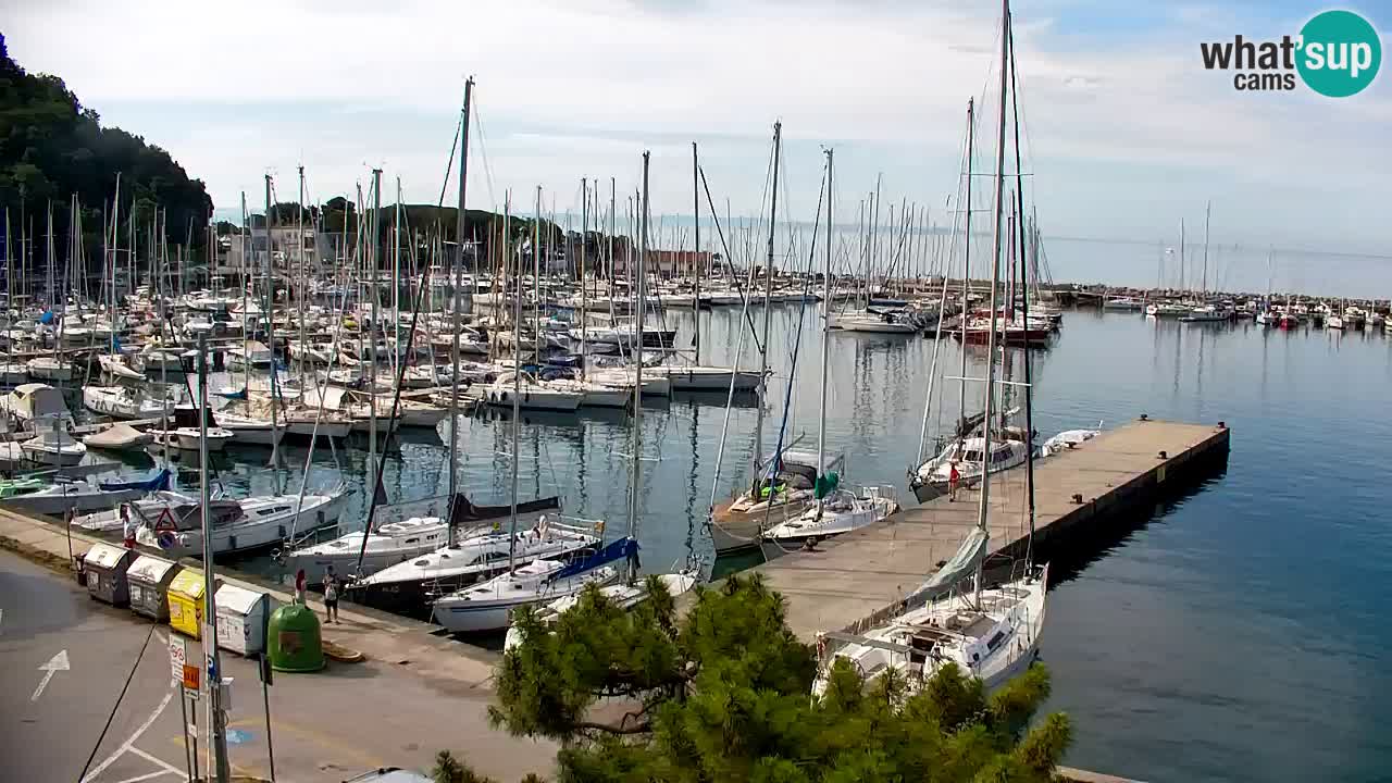 Webcam Baie de Sistiana – Vue en direct de la marina et de la baie