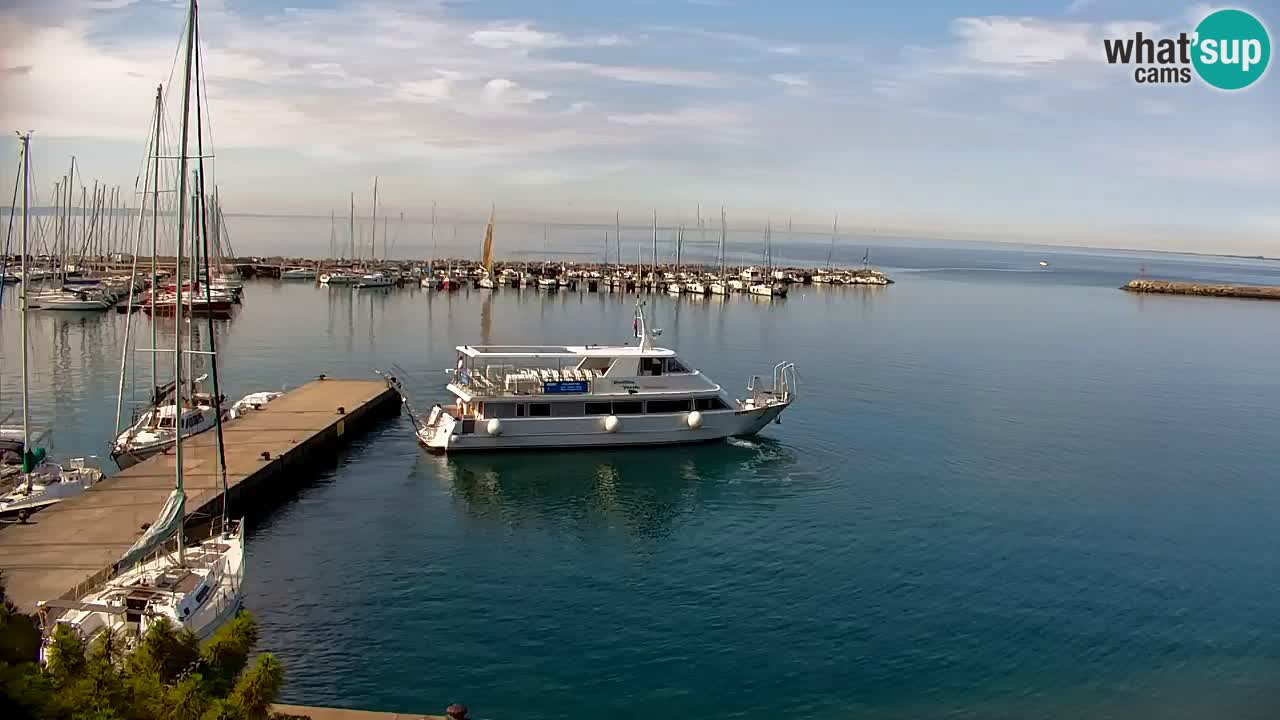 Webcam Baie de Sistiana – Vue en direct de la marina et de la baie