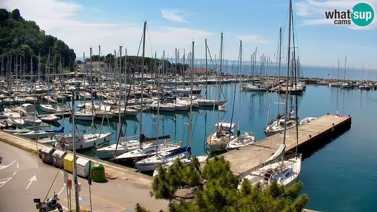 Web kamera Sistiana Uvala – Pogled uživo na marinu i zaljev
