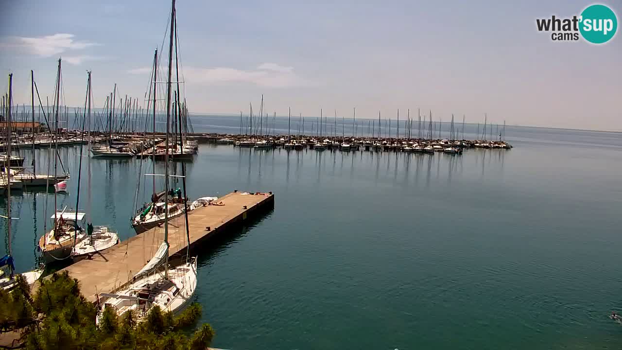 Webcam Sistiana Baia – Live View of the Marina and Gulf