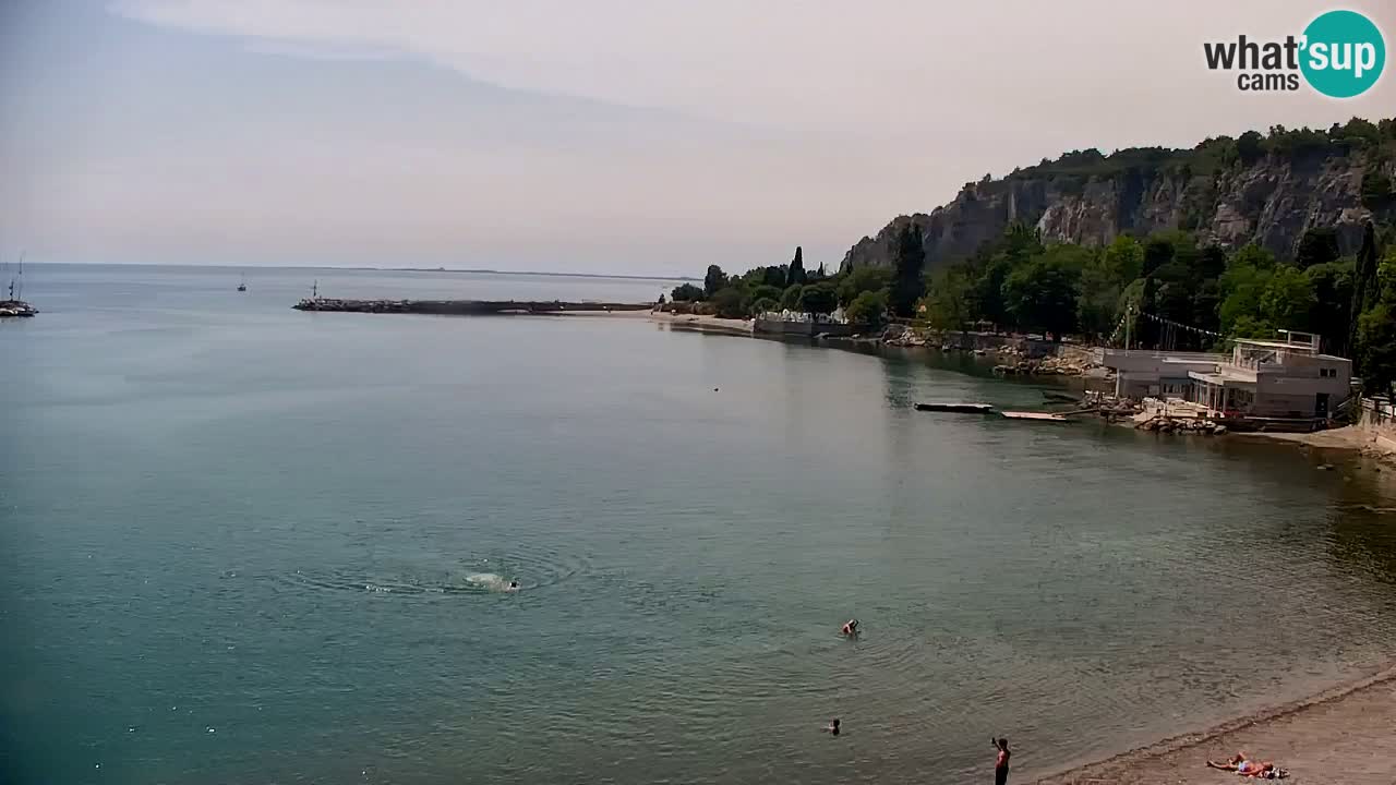 Webcam Sistiana Bucht – Liveblick auf Marina und Bucht