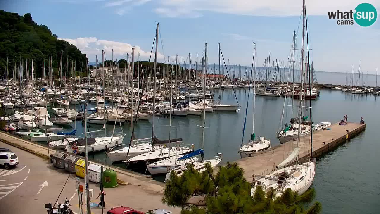 Webcam Sistiana Baia – Live View of the Marina and Gulf