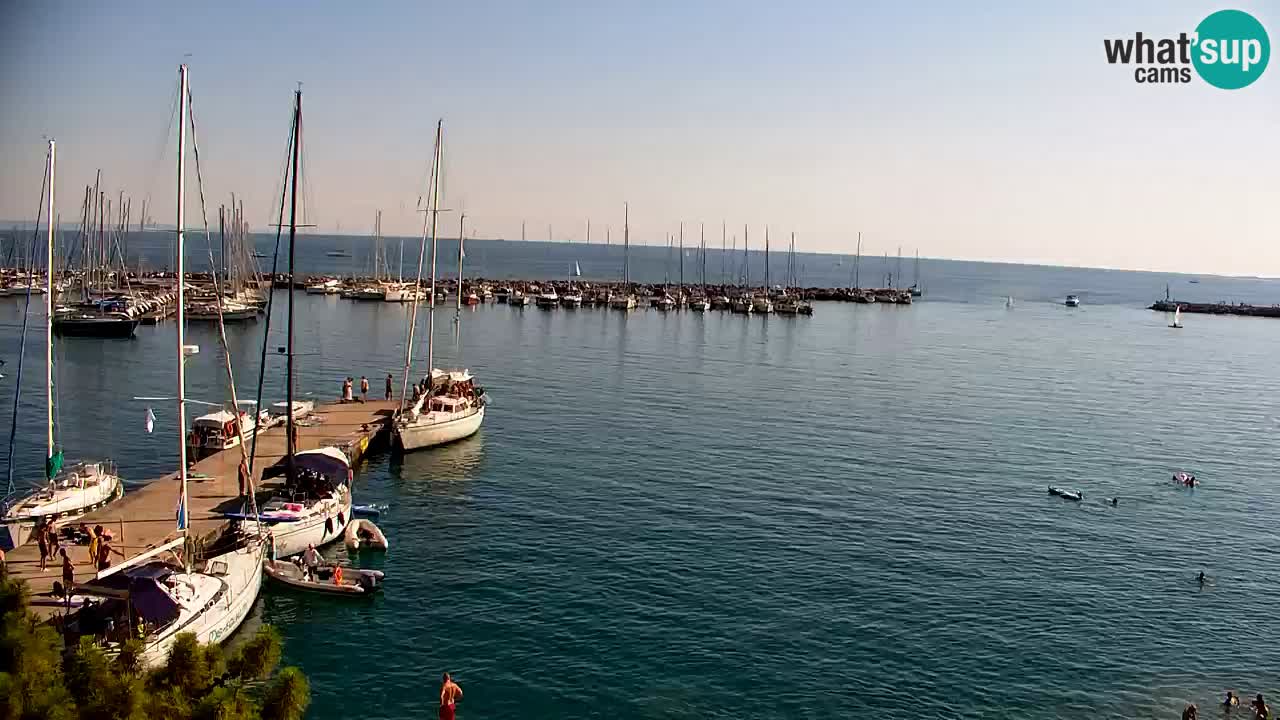 Web kamera Sistiana Uvala – Pogled uživo na marinu i zaljev