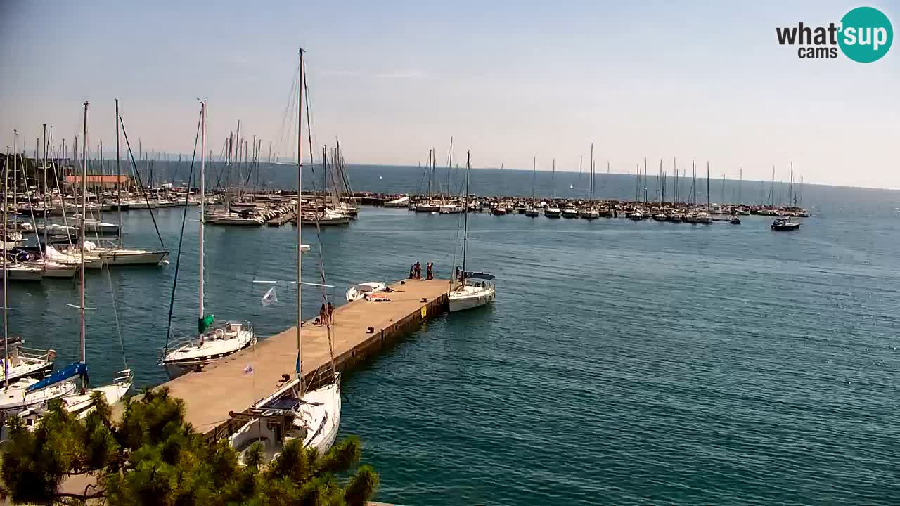 Webcam Sistiana Baia – Live View of the Marina and Gulf