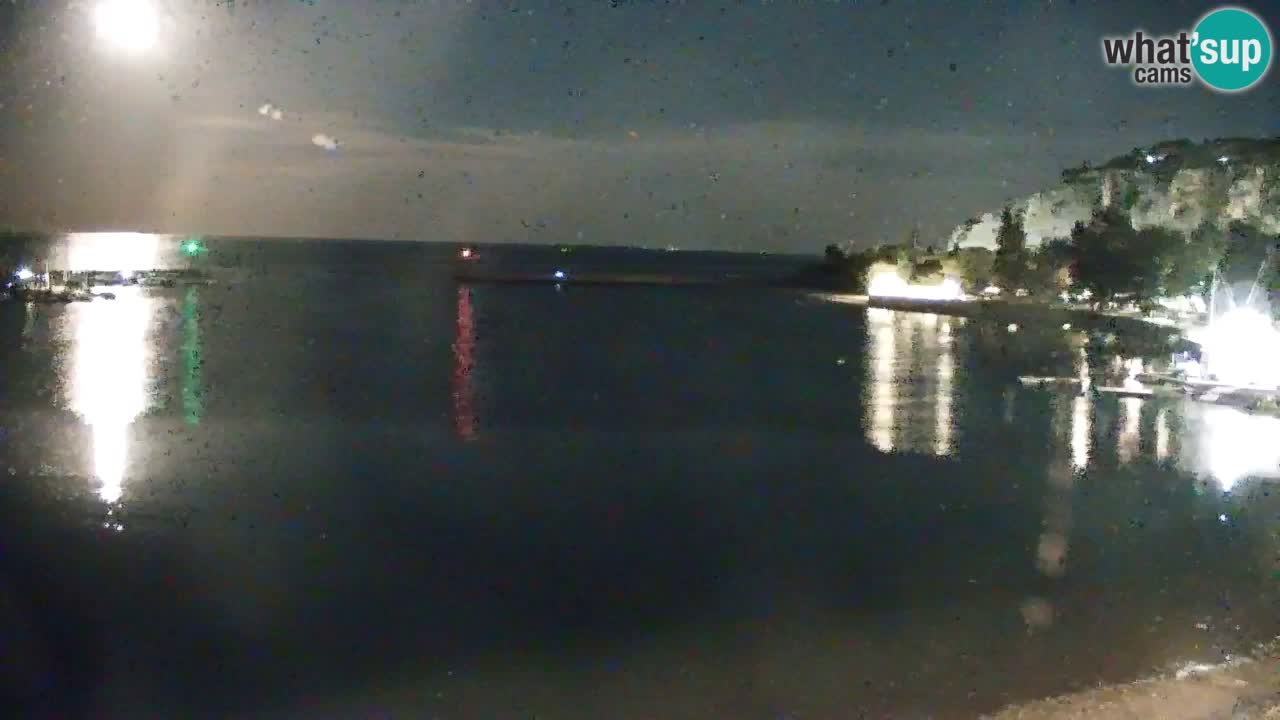 Webcam Sistiana Baia – Live View of the Marina and Gulf