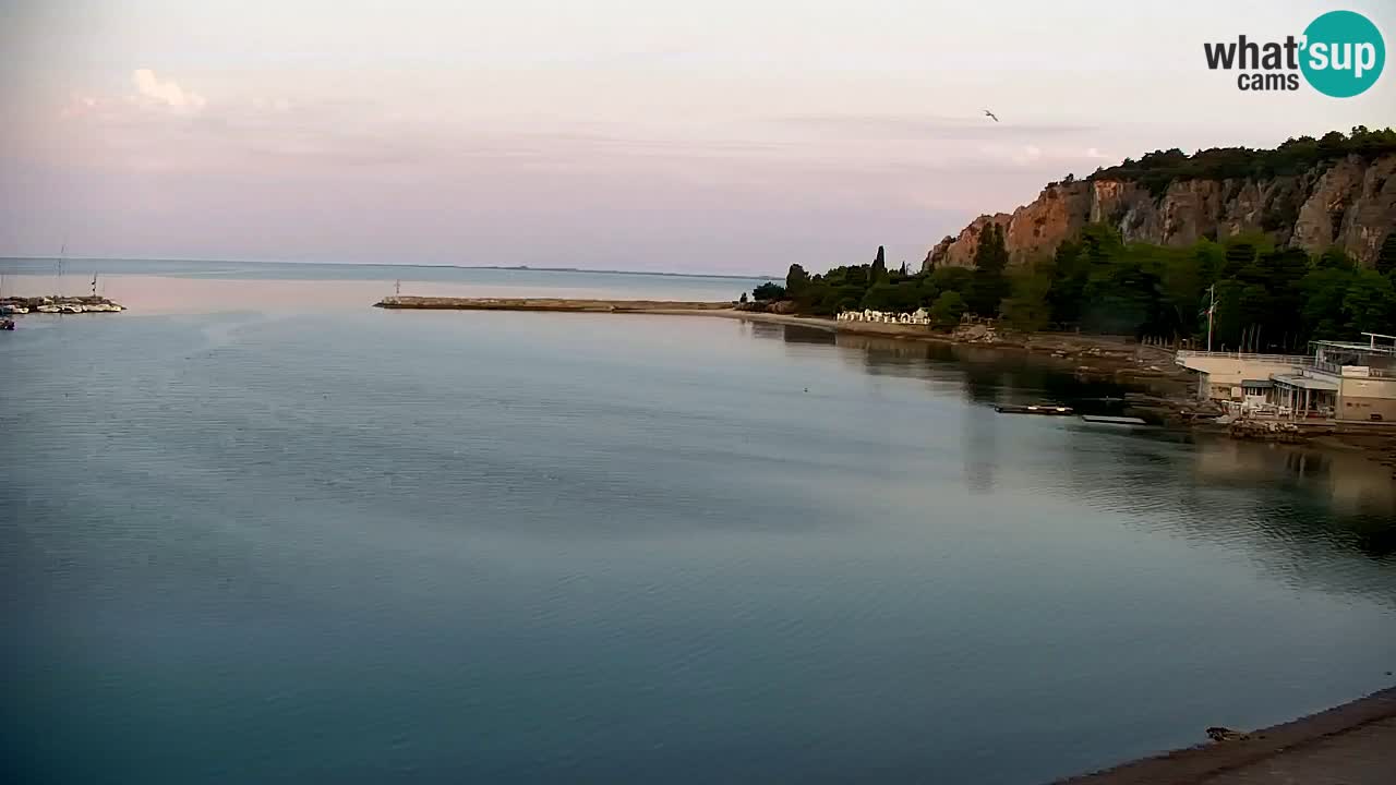 Spletna kamera Sesljanski zaliv – Pogled v živo na marino in zaliv