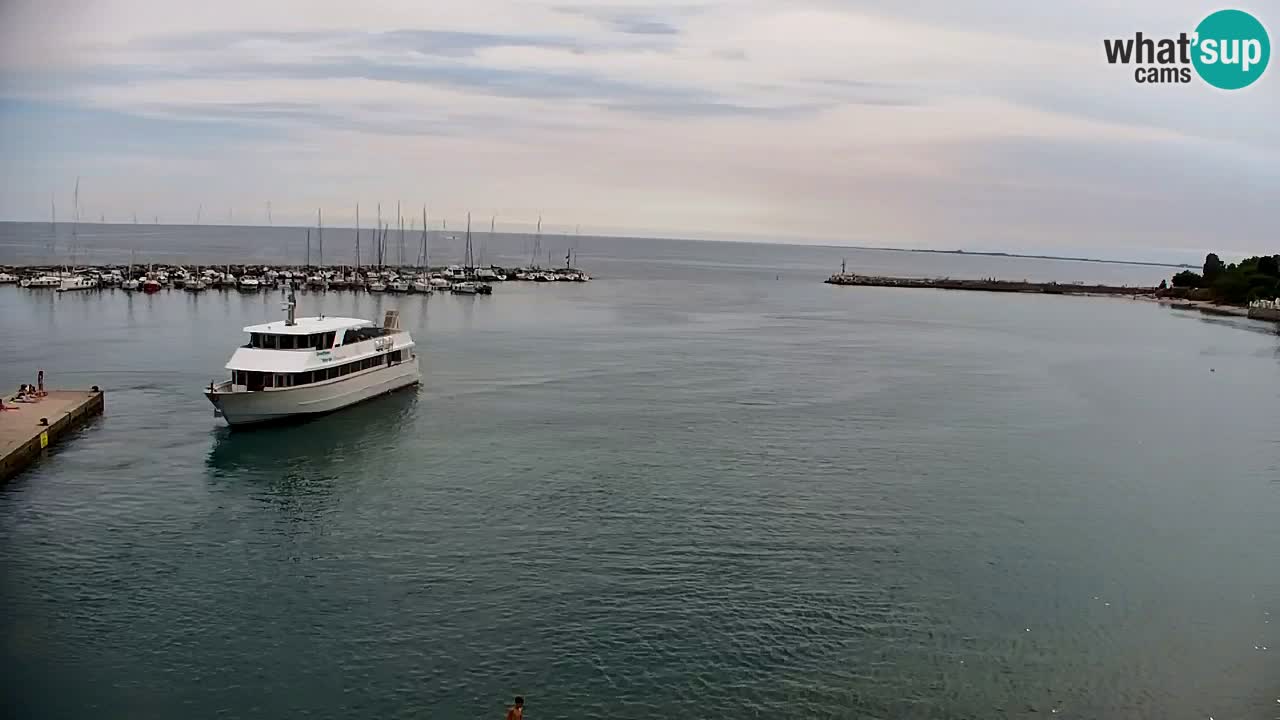 Webcam Bahía de Sistiana – Vista en directo del puerto deportivo y la costa