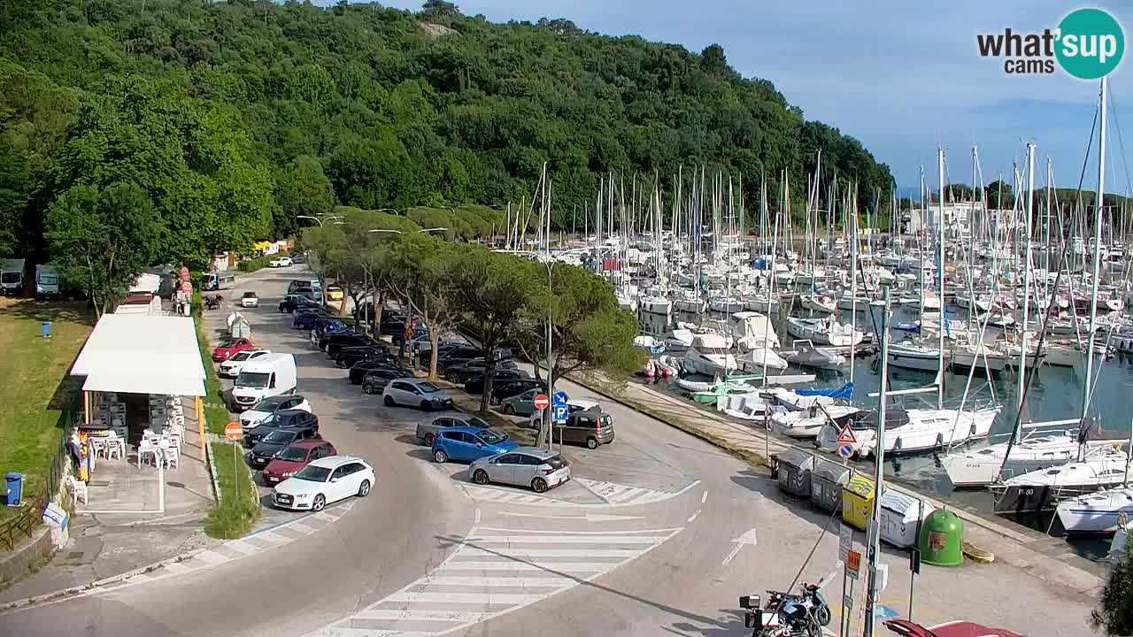 Webcam Bahía de Sistiana – Vista en directo del puerto deportivo y la costa