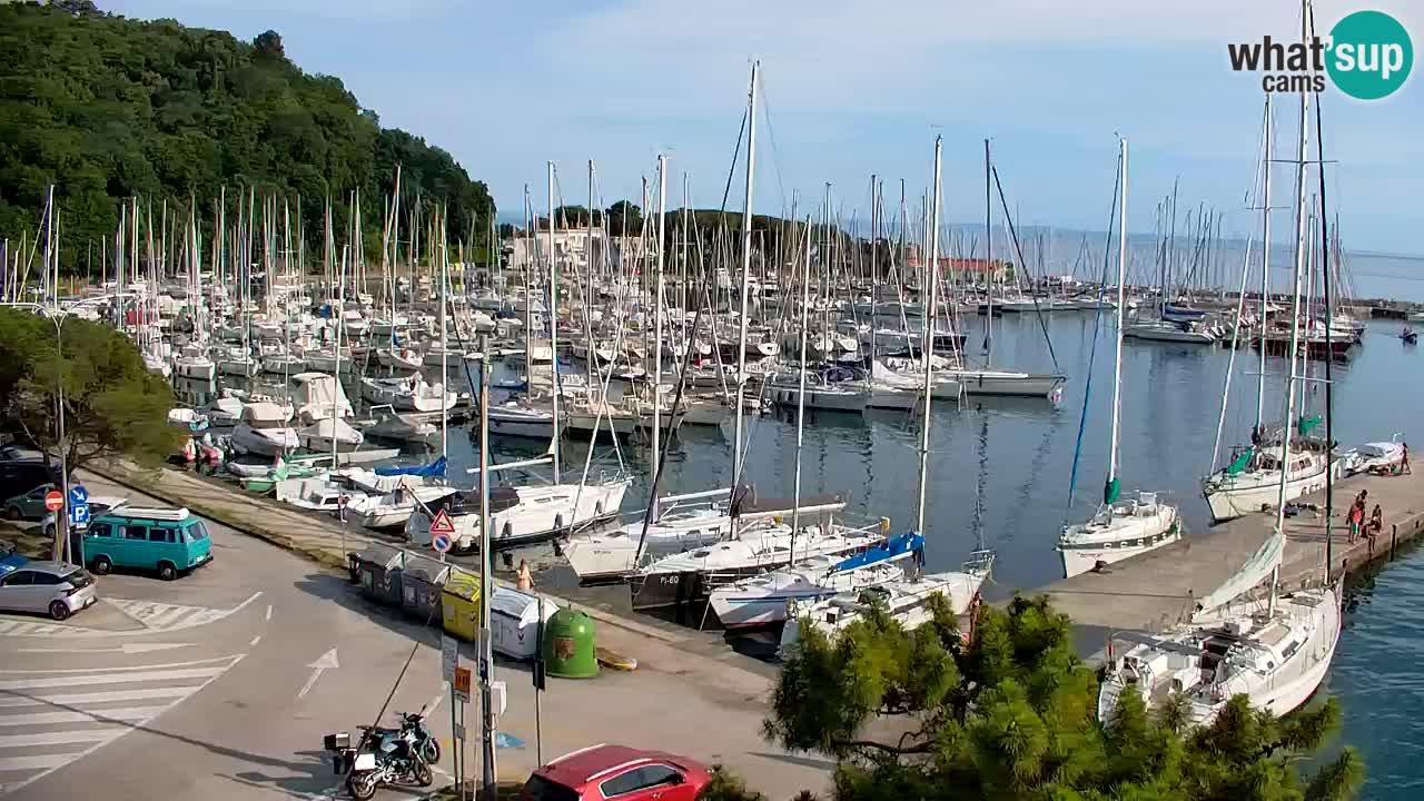 Webcam Sistiana Baia – Live View of the Marina and Gulf