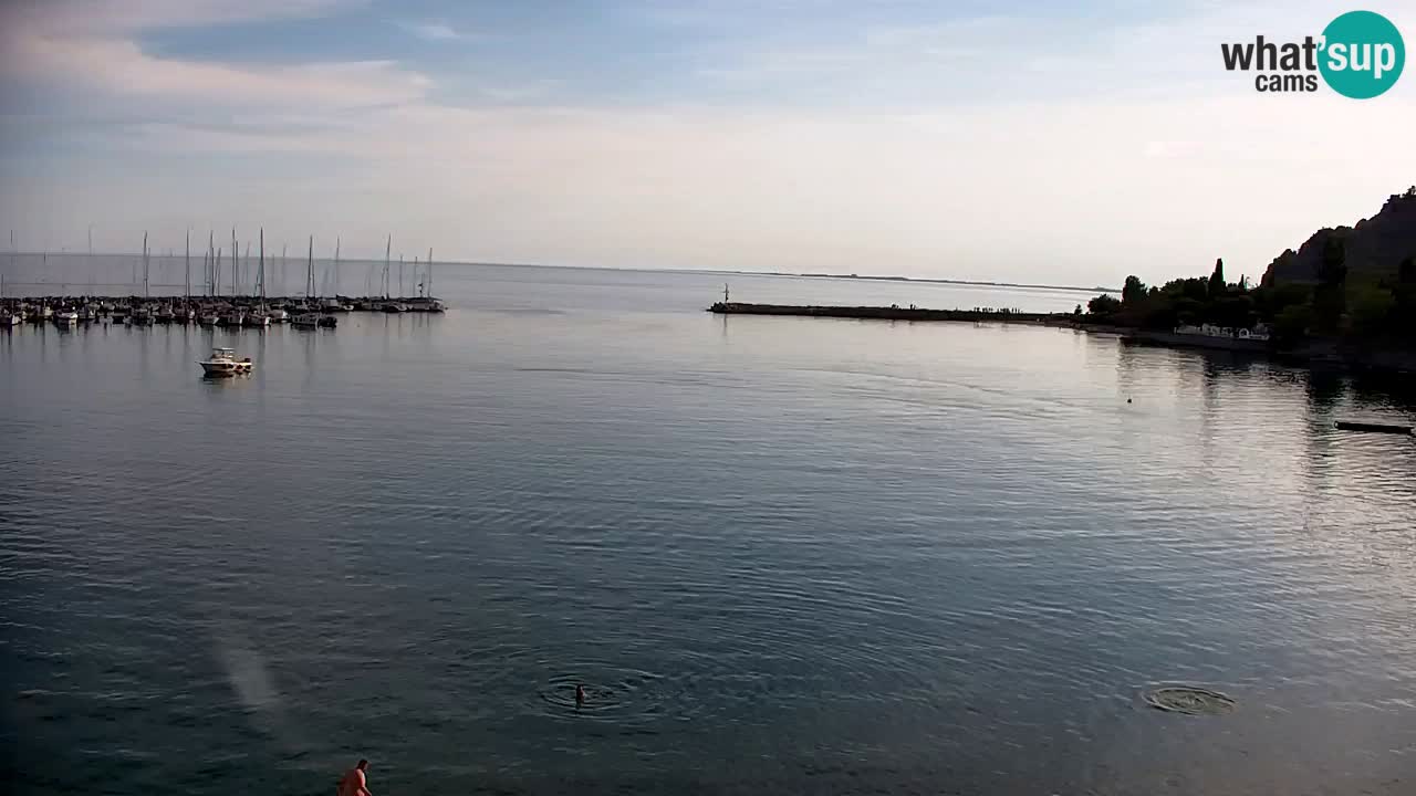 Webcam Sistiana Bucht – Liveblick auf Marina und Bucht