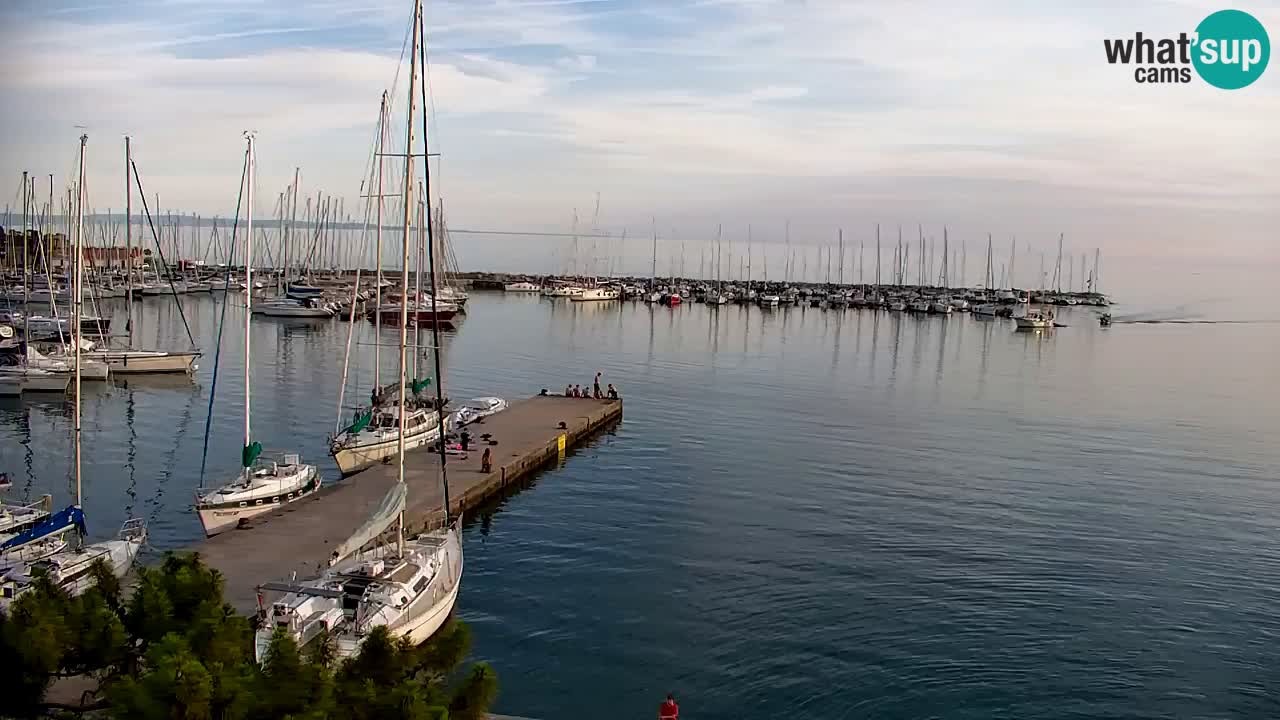 Webcam Sistiana Baia – Live View of the Marina and Gulf