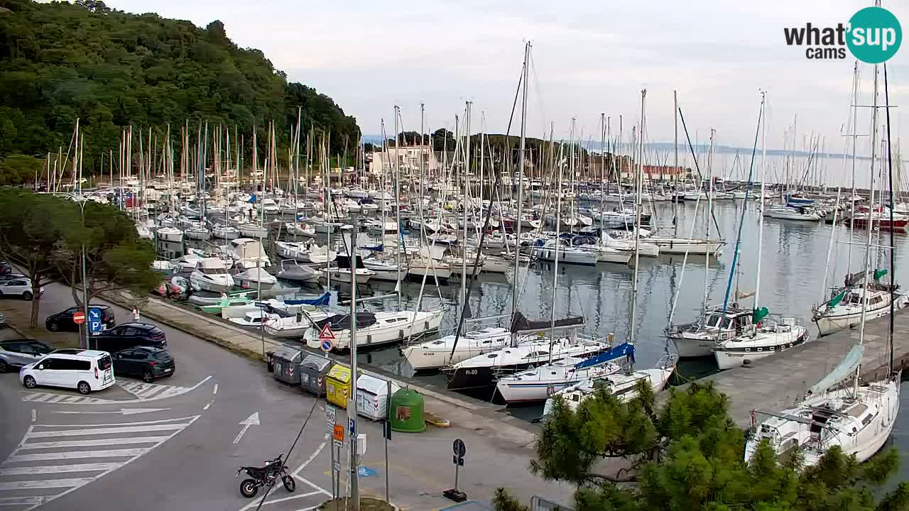 Webcam Sistiana Baia – Live View of the Marina and Gulf