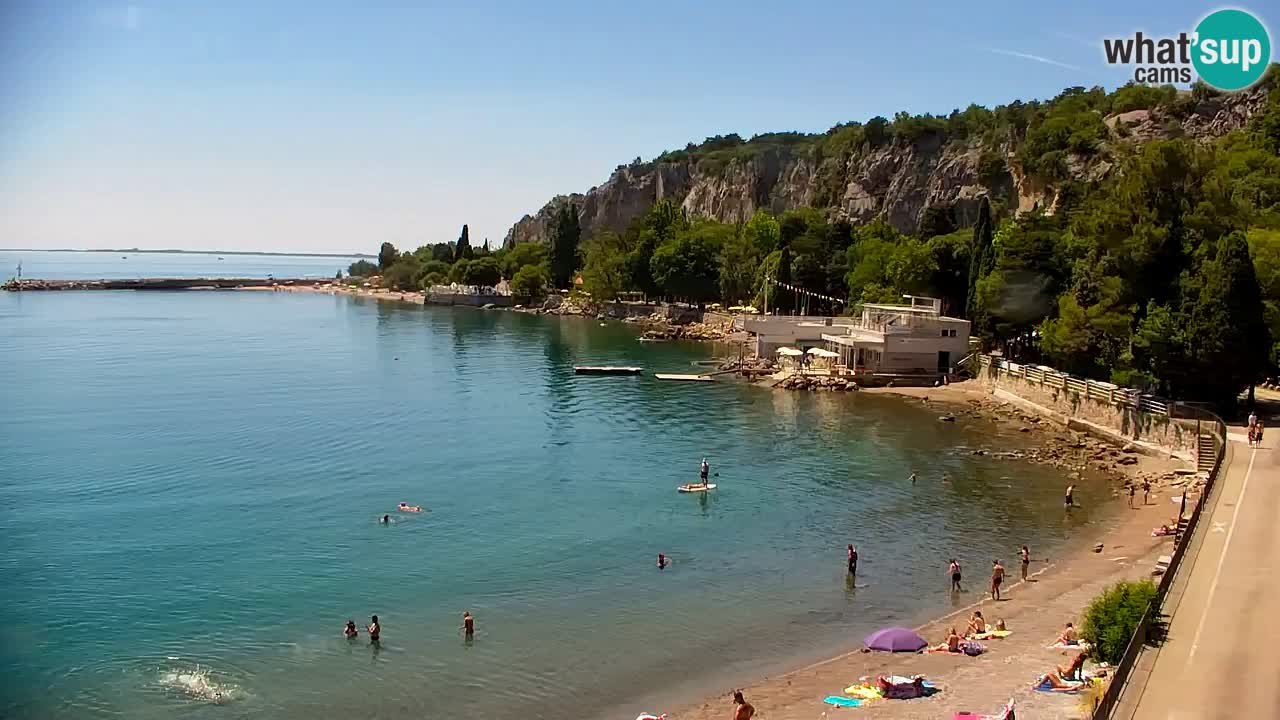 Webcam Sistiana Baia – Live View of the Marina and Gulf