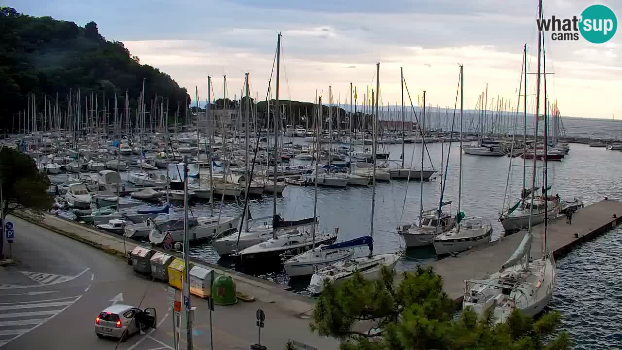 Webcam Sistiana Bucht – Liveblick auf Marina und Bucht