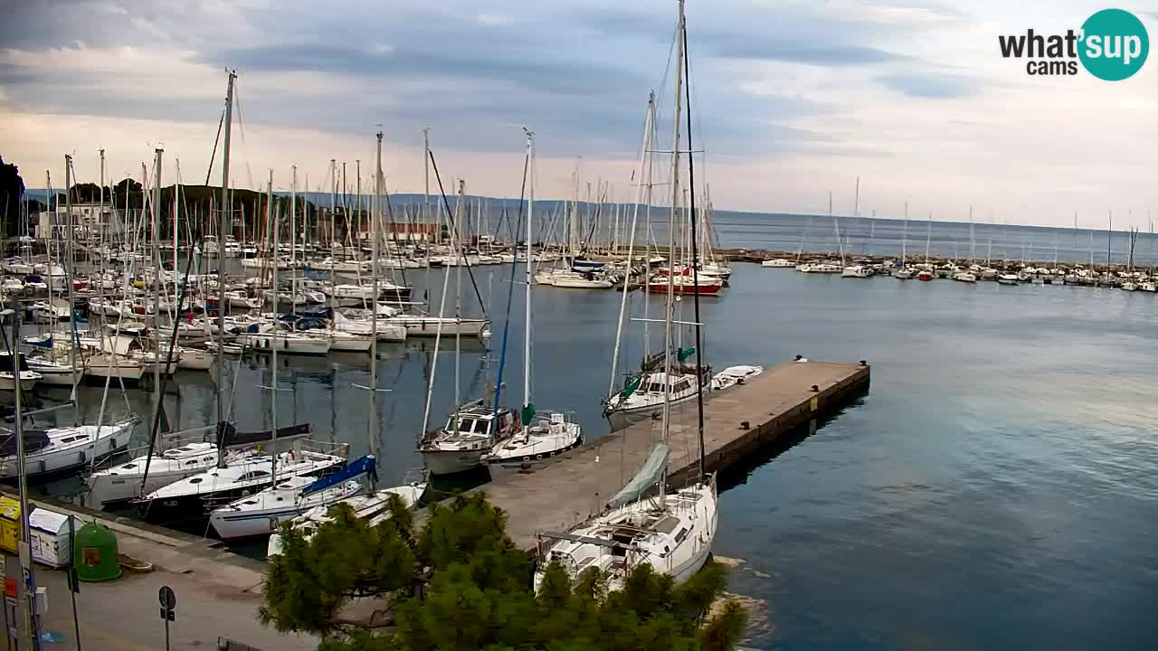 Webcam Sistiana Baia – Live View of the Marina and Gulf