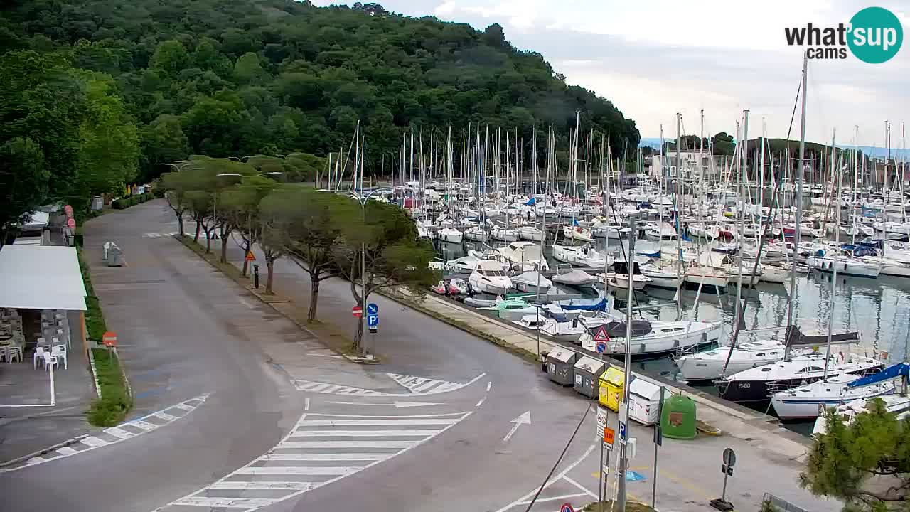 Webcam Sistiana Baia – Live View of the Marina and Gulf