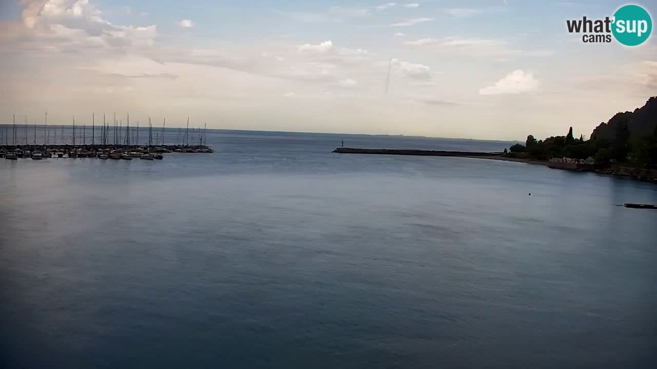 Webcam Sistiana Baia – Live View of the Marina and Gulf