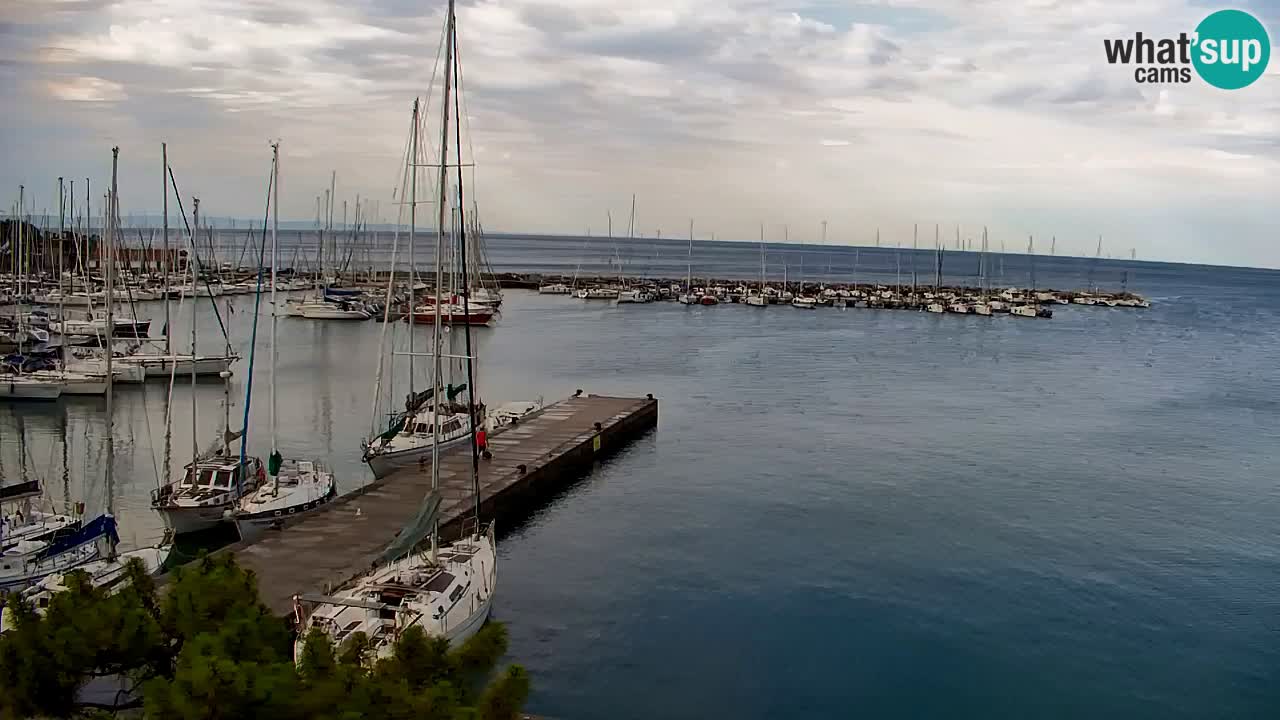 Web kamera Sistiana Uvala – Pogled uživo na marinu i zaljev