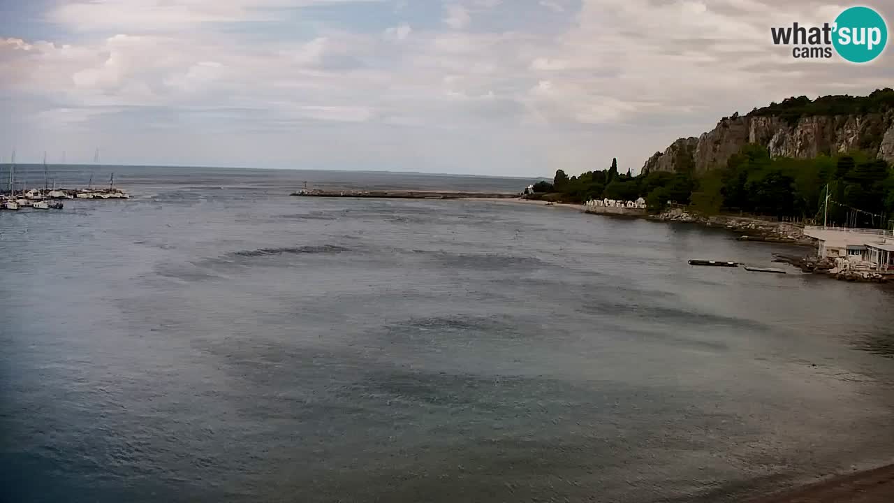 Web kamera Sistiana Uvala – Pogled uživo na marinu i zaljev