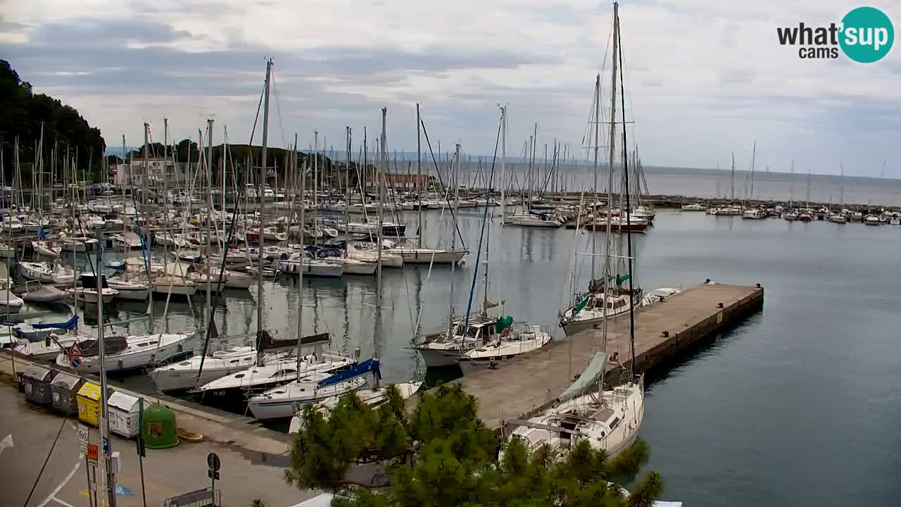 Webcam Bahía de Sistiana – Vista en directo del puerto deportivo y la costa