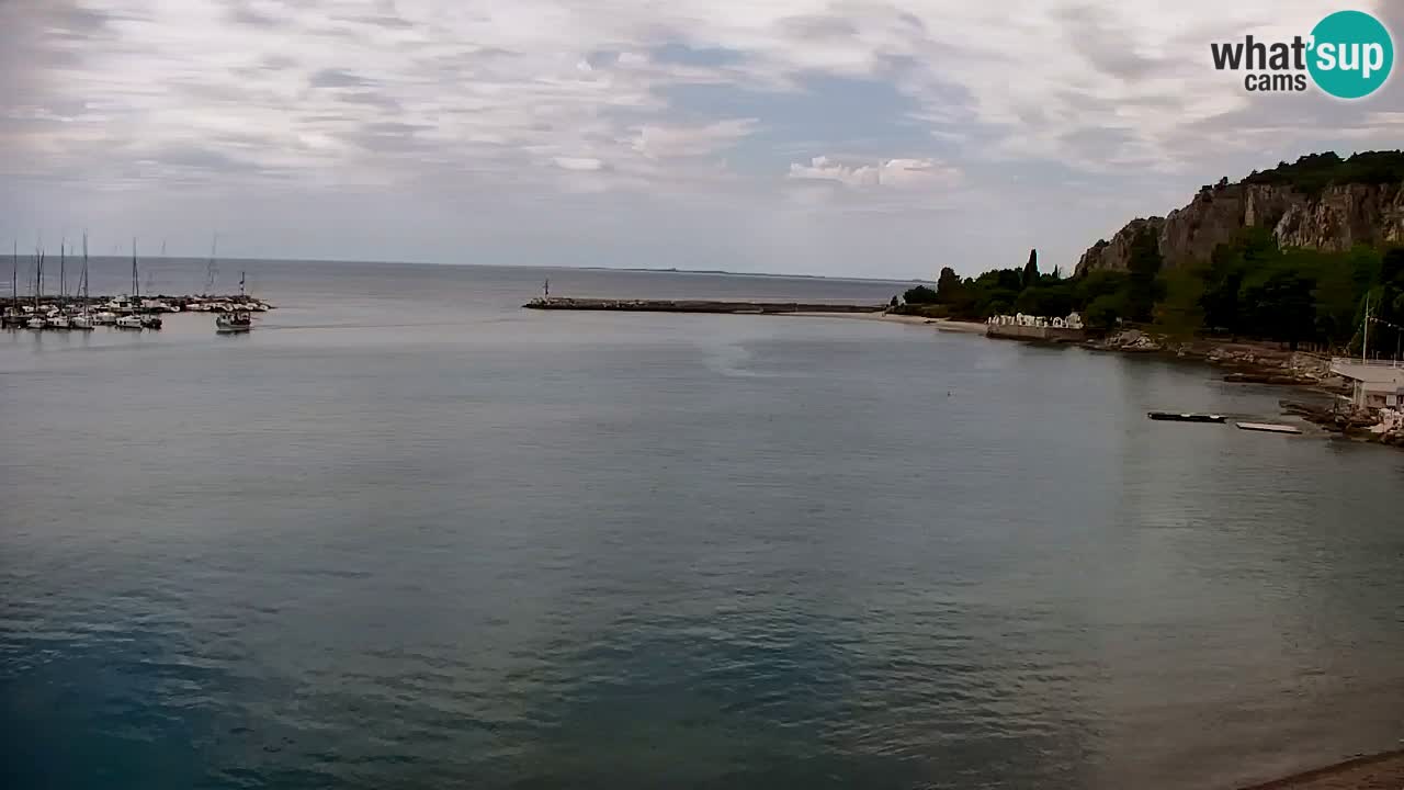 Webcam Sistiana Baia – Live View of the Marina and Gulf
